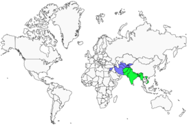Distribution 