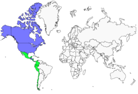 Distribution 