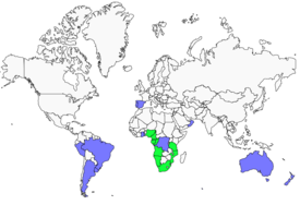 Distribution 