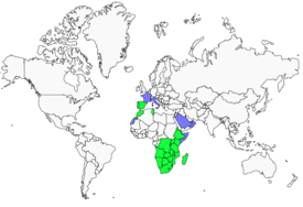 Distribution 