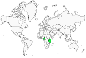 Distribution 