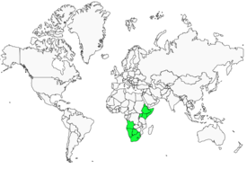 Distribution 