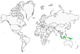Distribution 