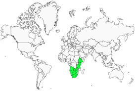 Distribution 