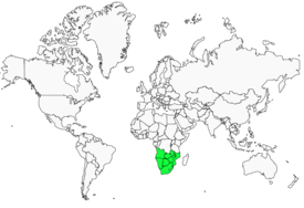 Distribution 