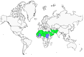 Distribution 