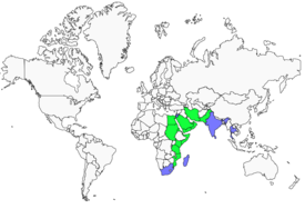 Distribution 