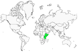 Distribution 