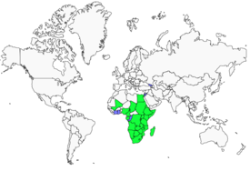 Distribution 