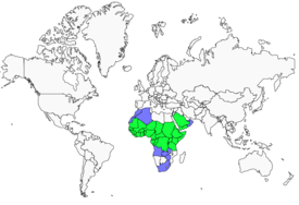 Distribution 