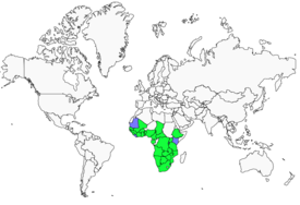 Distribution 