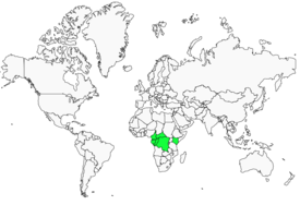 Distribution 