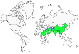 Distribution 