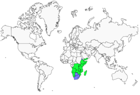 Distribution 