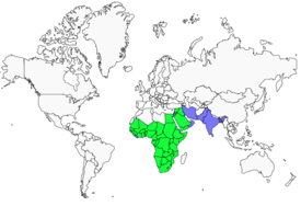 Distribution 