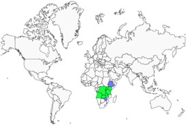 Distribution 
