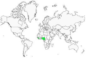 Distribution 