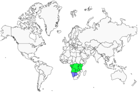 Distribution 