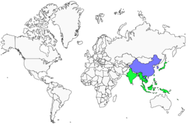 Distribution 