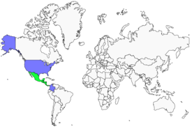 Distribution 