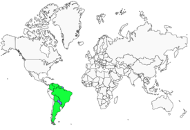 Distribution 