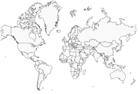 Distribution 