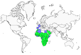 Distribution 
