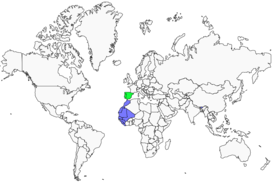 Distribution 