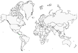 Distribution 
