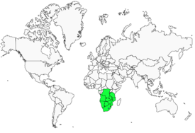 Distribution 