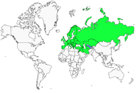 Distribution 