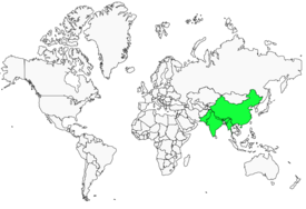 Distribution 