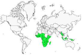 Distribution 