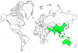 Distribution 