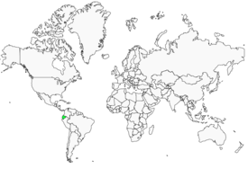 Distribution 