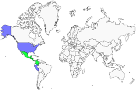 Distribution 