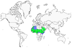 Distribution 