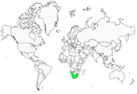 Distribution 