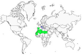 Distribution 