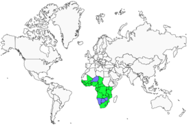 Distribution 
