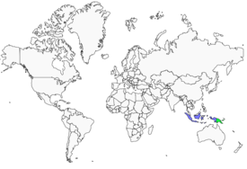 Distribution 