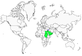 Distribution 