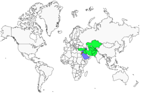 Distribution 
