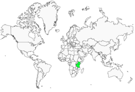 Distribution 