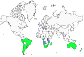 Distribution 