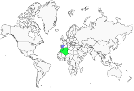 Distribution 