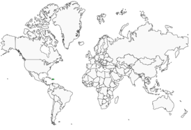 Distribution 