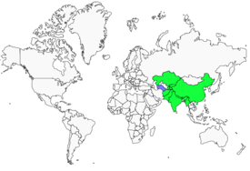 Distribution 