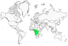 Distribution 