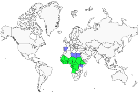 Distribution 